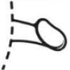 Penis Normal